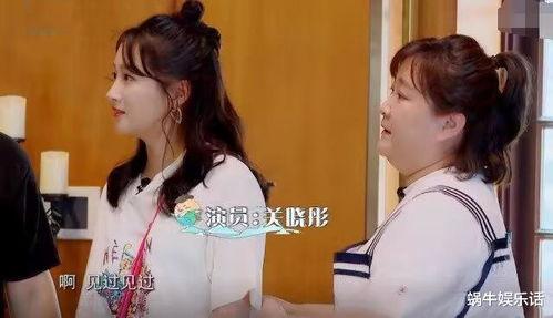 娱乐吃瓜酱完整,揭秘娱乐圈幕后故事，带你领略明星们的真实生活