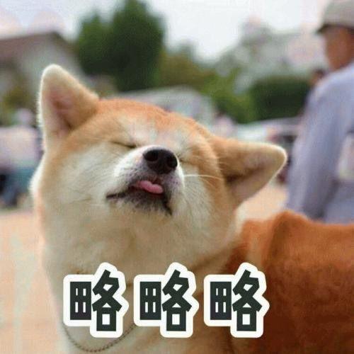 娱乐吃瓜酱小狗吉祥,小狗吉祥的欢乐日常