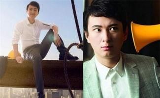 娱乐吃瓜酱霸道总裁,霸道总裁的娱乐吃瓜日常