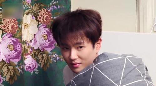 娱乐吃瓜酱少爷是谁啊,他是谁？在娱乐圈有何影响力？