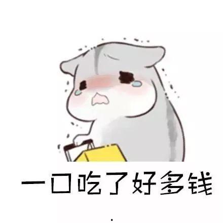 娱乐吃瓜酱当仓鼠店老板,揭秘当仓鼠店老板的趣味日常