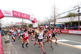 娱乐吃瓜酱鸭子跑马拉松,吃瓜酱鸭子跑马记
