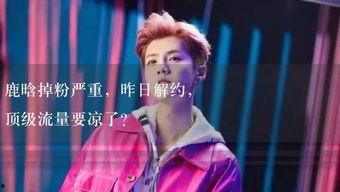 娱乐吃瓜君干了什么,揭秘娱乐圈背后的那些事儿