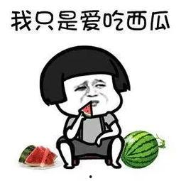 娱乐吃瓜趣闻,明星们的吃瓜趣闻大盘点