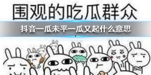 抖音娱乐吃瓜酱,揭秘娱乐圈幕后故事