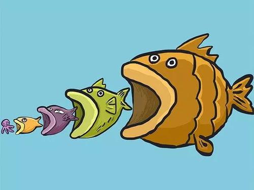 大鱼吃瓜娱乐,揭秘娱乐圈幕后故事