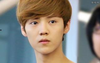 娱乐圈吃瓜猛料鹿晗