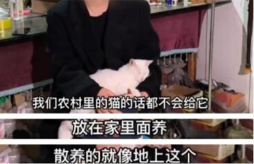 娱乐吃瓜君澄清视频