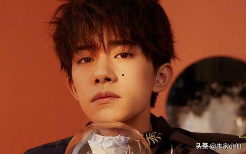 娱乐吃瓜酱杨洋,娱乐吃瓜酱中的璀璨明星