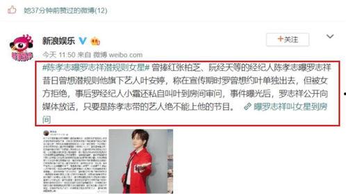 娱乐吃瓜酱大佬免费阅读,免费阅读，揭秘娱乐圈幕后风云