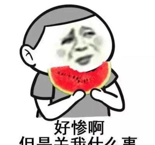 沙雕娱乐圈吃瓜小说推荐,揭秘明星背后的疯狂故事